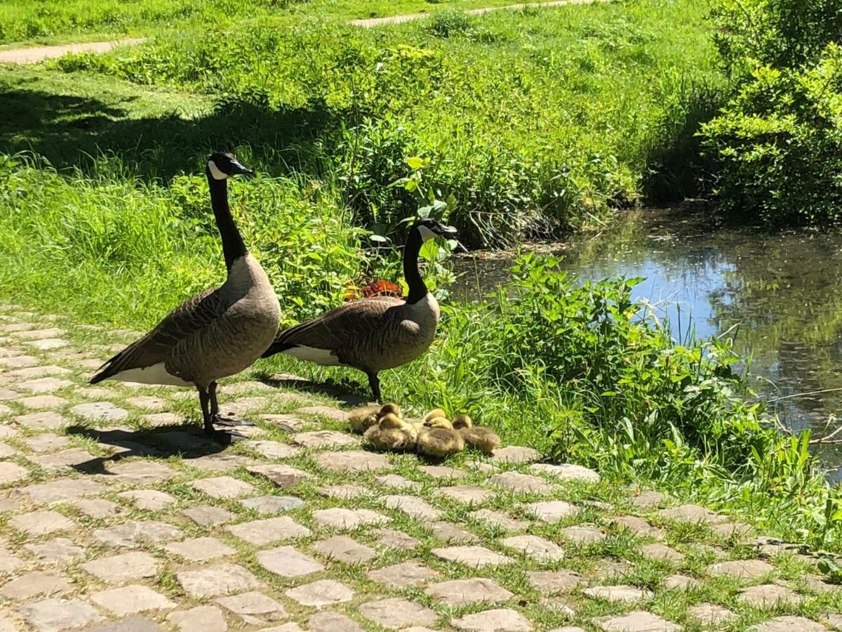 Ferienwohnungen Saarn Mülheim an der Ruhr Exterior foto